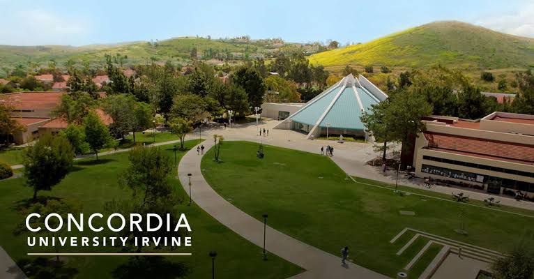 SCHOLARSHIP:  USA International Scholarship for Undergraduate Students