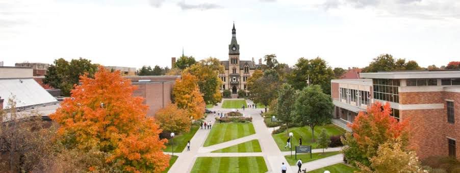 SCHOLARSHIP: Hamline University, USA International Scholarship for Undergraduate Students