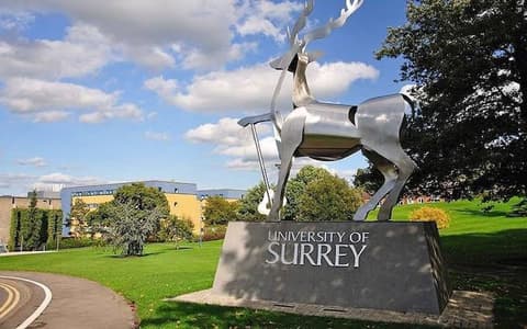 SCHOLARSHIP: University of Surrey AI, UK International Scholarship for Postgraduate | Ph.D Students