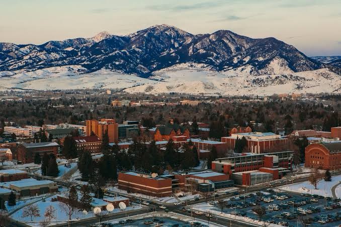 SCHOLARSHIP: Montana State University, USA International Scholarship for Postgraduate | Masters Students