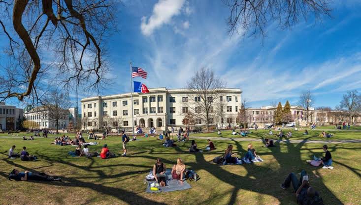 SCHOLARSHIP: American University, USA International Scholarship for Undergraduate Students