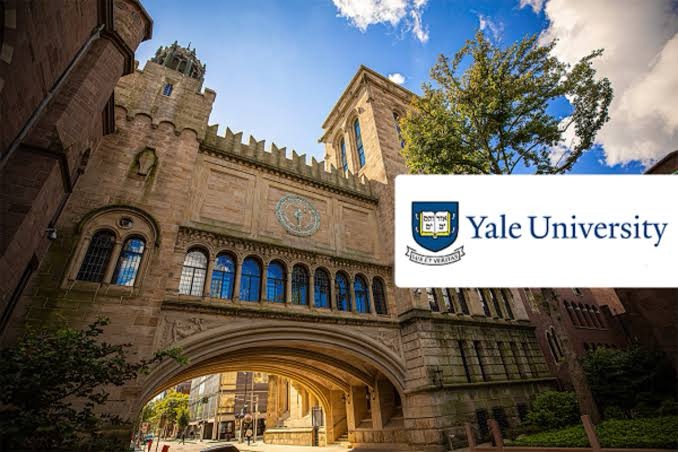 SCHOLARSHIP: Yale University, USA International Scholarship for Undergraduate | Masters | Ph.D Students