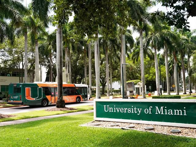 SCHOLARSHIP: University of Miami Stamps, USA International Scholarship for Undergraduate Students