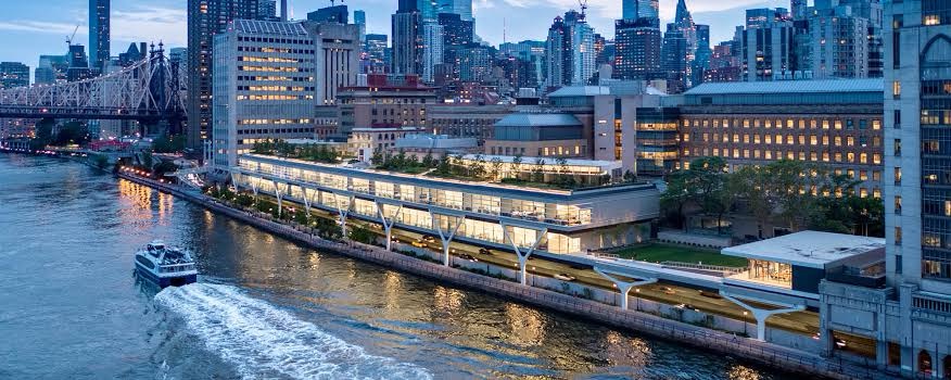 SCHOLARSHIP: Rockefeller University, USA International Scholarship for Undergraduate Students