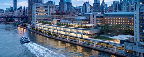 SCHOLARSHIP: Rockefeller University, USA International Scholarship for Undergraduate Students