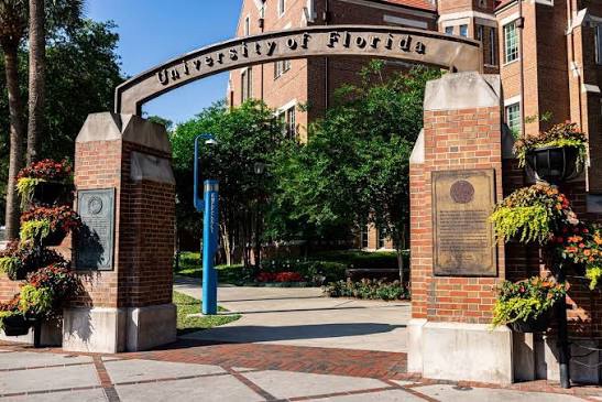 SCHOLARSHIP: University of Florida, USA International Scholarship for Postgraduate | Ph.D Students